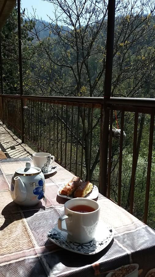 Arami Guest House Dilidzjan Buitenkant foto