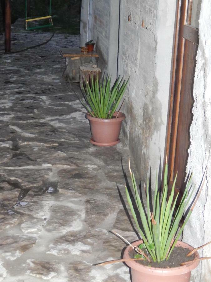 Arami Guest House Dilidzjan Buitenkant foto