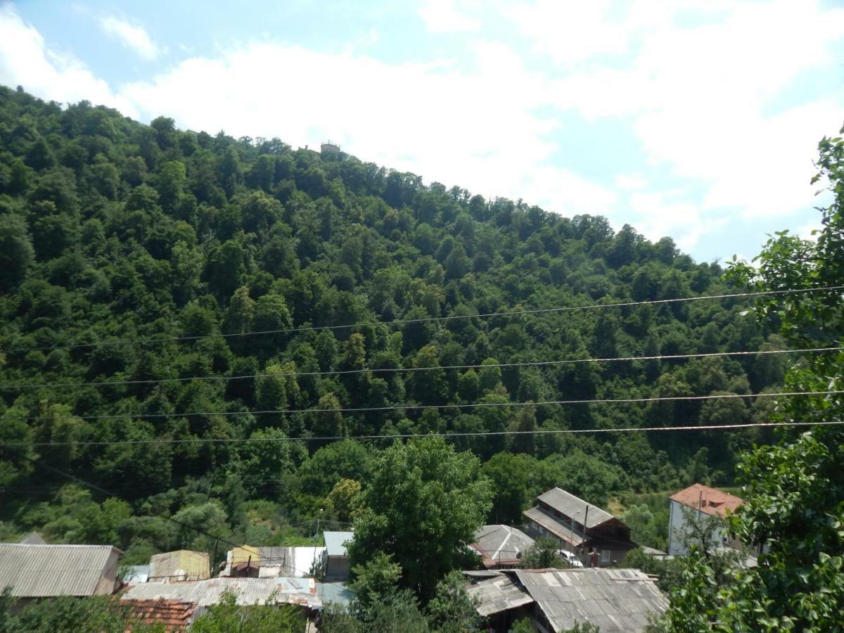 Arami Guest House Dilidzjan Buitenkant foto